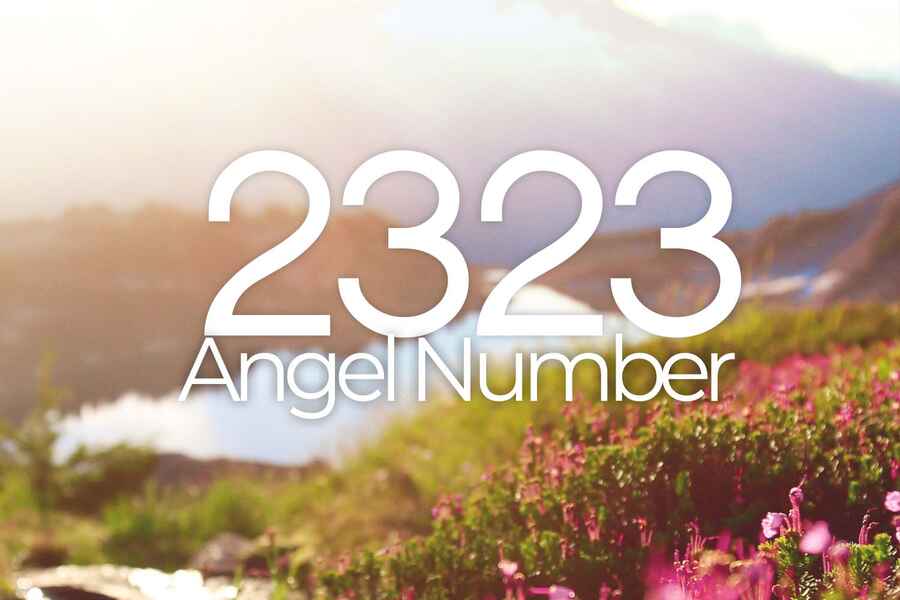 2323 Angel Number Seeing This Number Means Change Is Coming   2323 Angel Number 