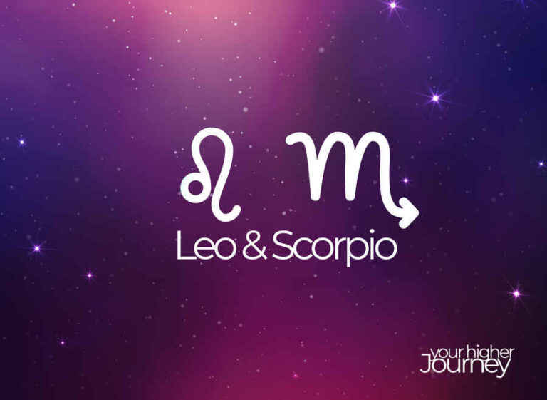 Leo And Scorpio Friendship A Vigorous And Powerful Combination